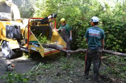 tree services Cherry